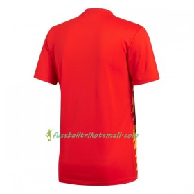 Fußballtrikots Spanien 2018 Kurzarm Heimtrikotsatz kaufen